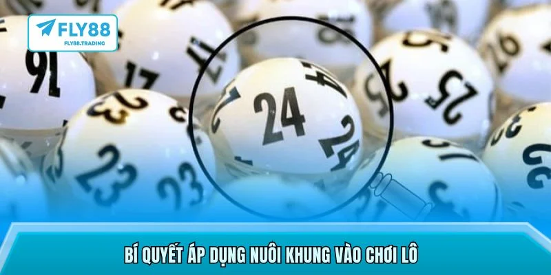 Bí quyết áp dụng nuôi khung vào chơi lô