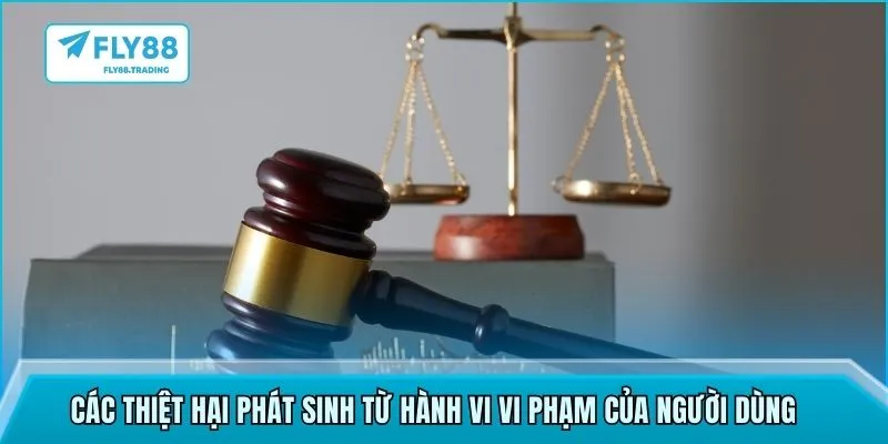 Các thiệt hại phát sinh từ hành vi vi phạm của người dùng 