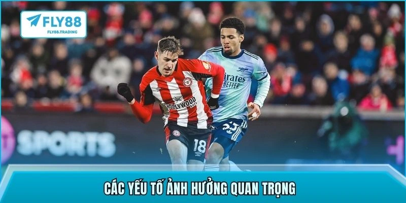 Các yếu tố ảnh hưởng quan trọng