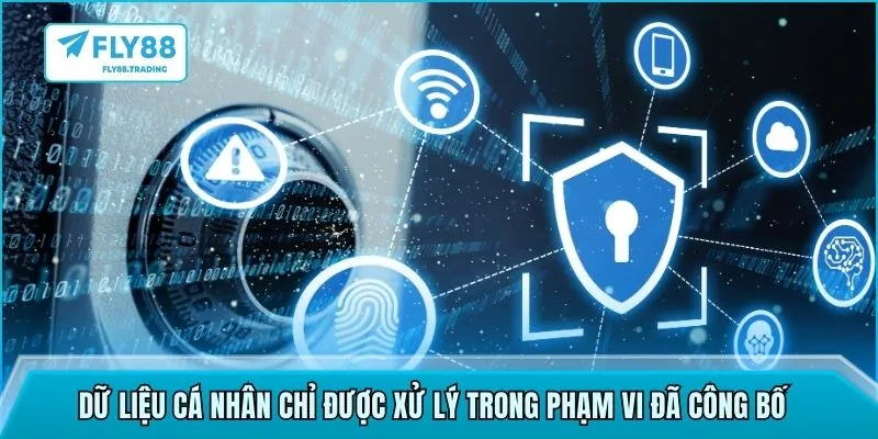 Dữ liệu cá nhân chỉ được xử lý trong phạm vi đã công bố