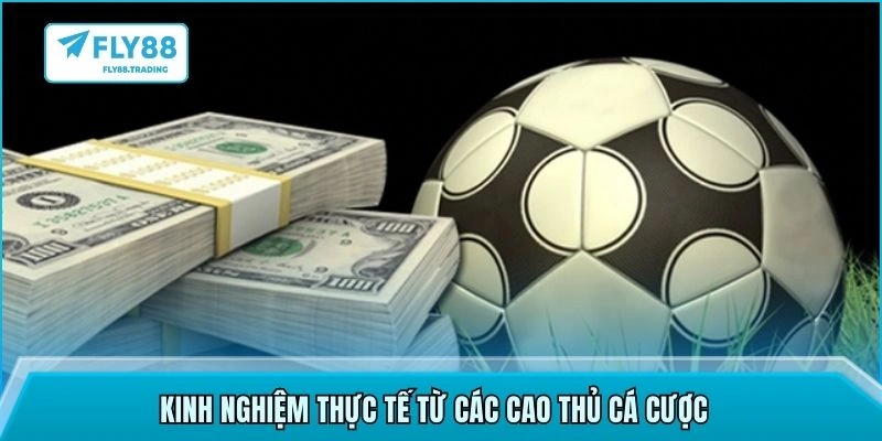 Kinh nghiệm thực tế từ các cao thủ cá cược