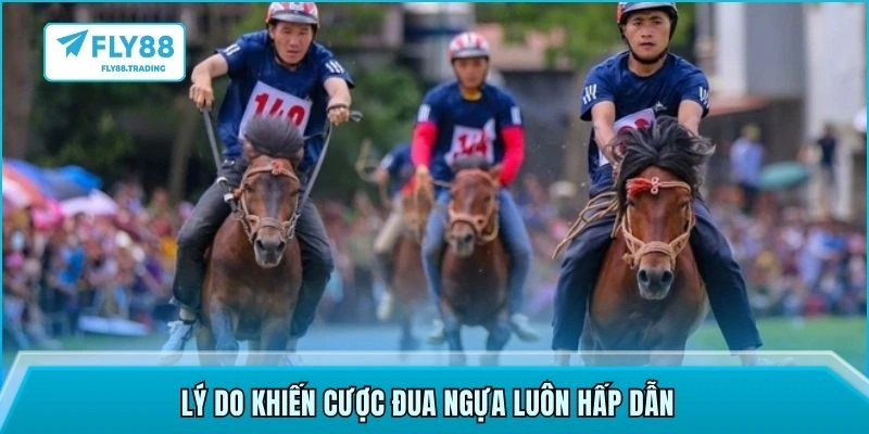 Lý do khiến cược đua ngựa luôn hấp dẫn