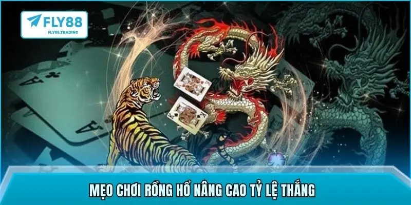 Mẹo chơi rồng hổ nâng cao tỷ lệ thắng
