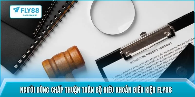 Người dùng chấp thuận toàn bộ điều khoản điều kiện FLY88