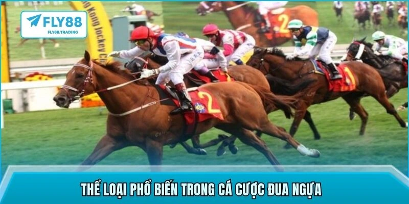 Thể loại phổ biến trong cá cược đua ngựa