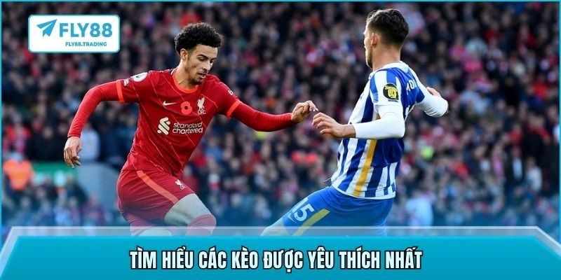 Tìm hiểu các kèo được yêu thích nhất