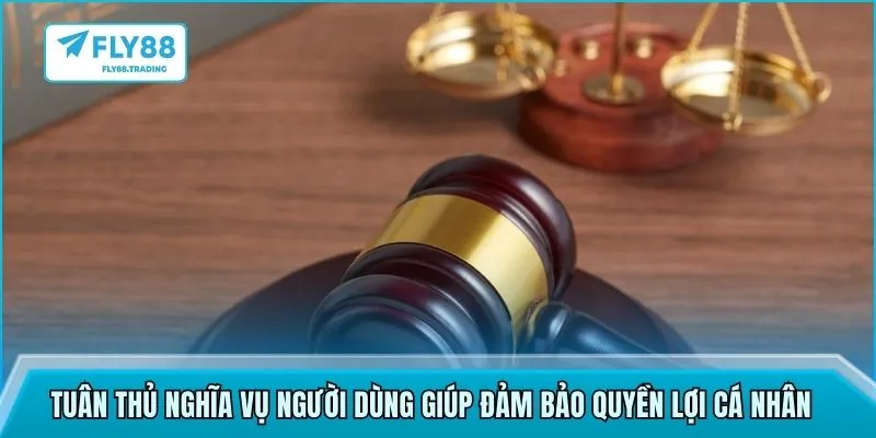 Tuân thủ nghĩa vụ người dùng giúp đảm bảo quyền lợi cá nhân
